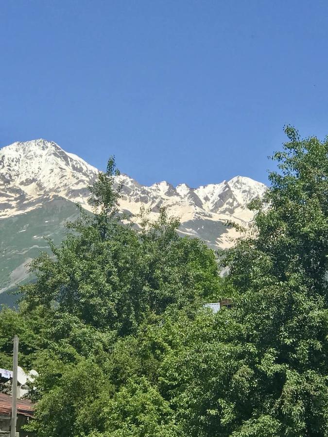 Monte Bianco Bed & Breakfast Mestia Eksteriør bilde